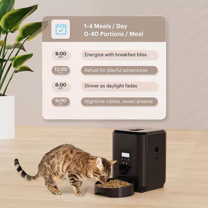 BrainPet Feeder