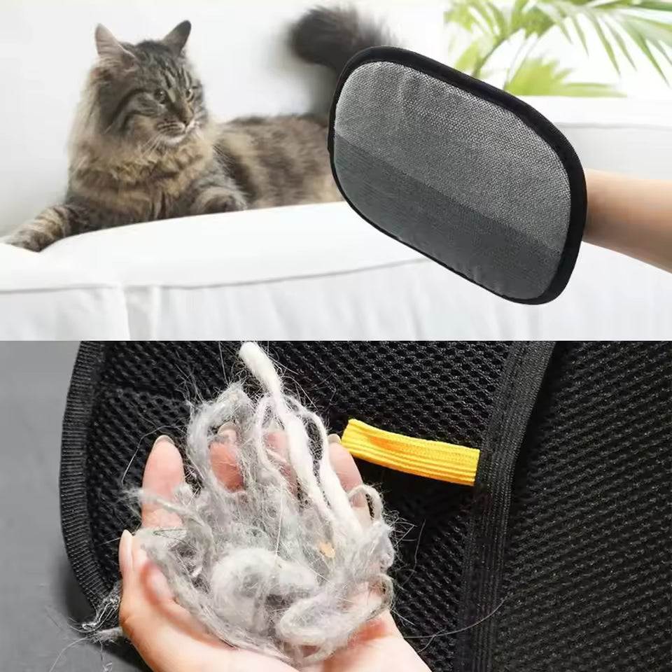 Brain Pet Hair Removal Gloves