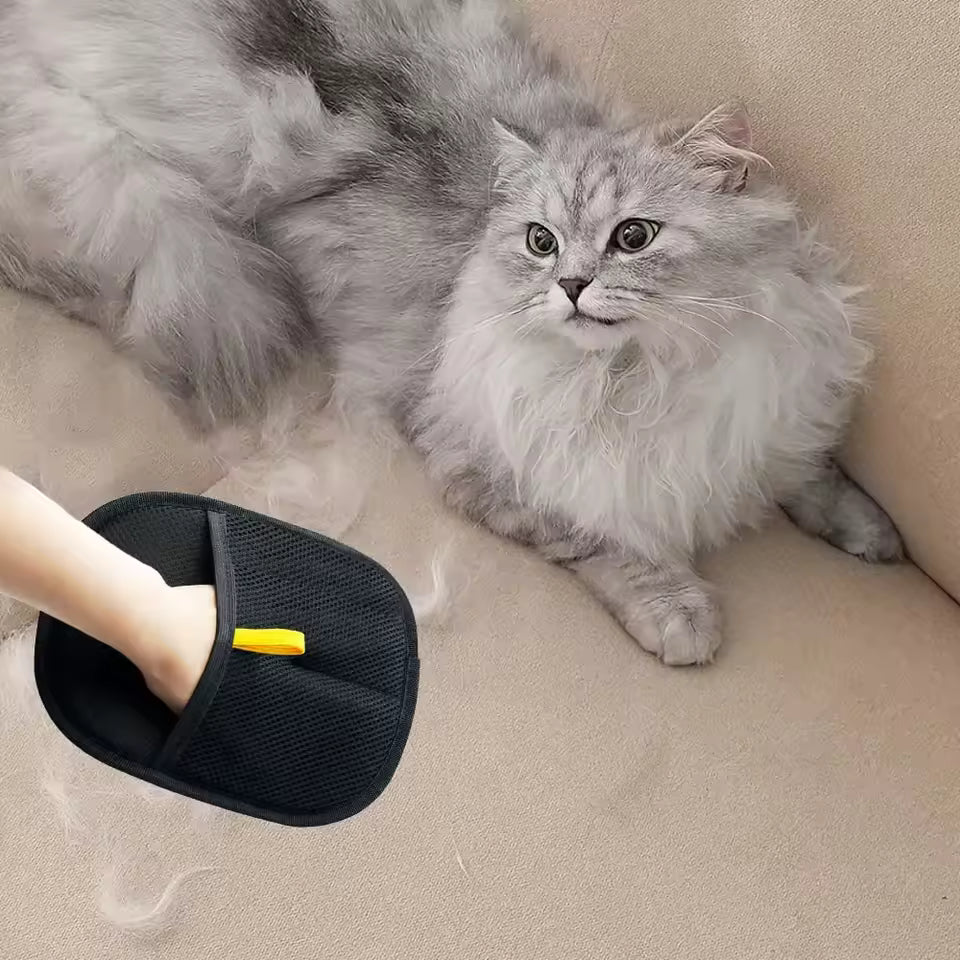 Brain Pet Hair Removal Gloves