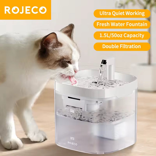 BrainPet  Automatic Fountain