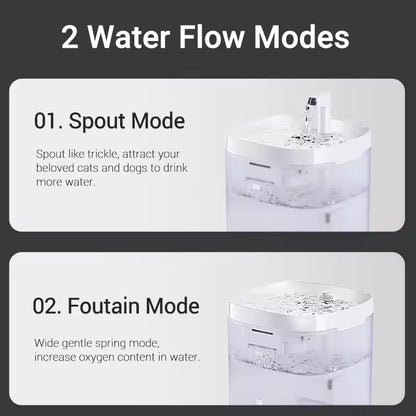 BrainPet  Automatic Fountain