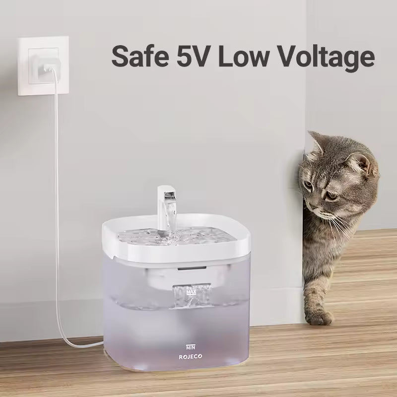 BrainPet  Automatic Fountain